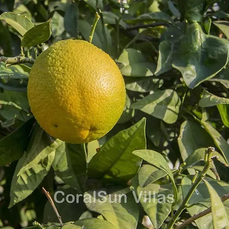 Villa Amazing Pool, Complete Privacy, Amenities And Nearby