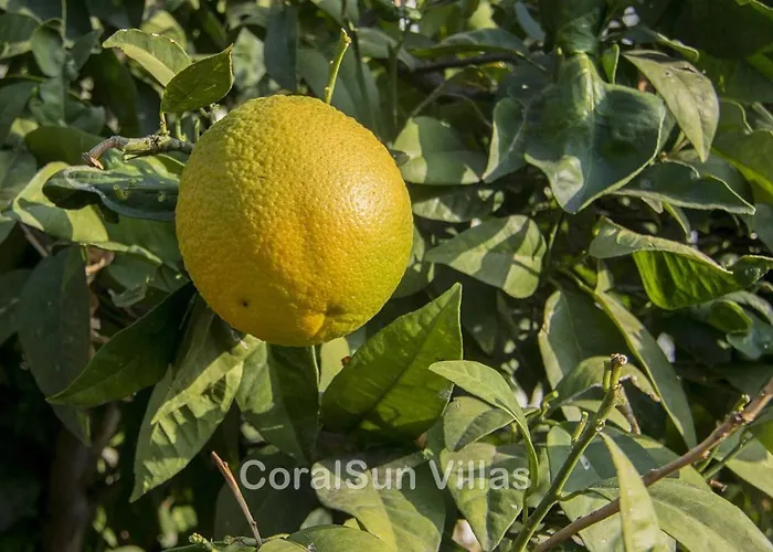 ヴィラ Amazing Pool, Complete Privacy, Amenities And Nearby